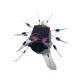 Kit insecte à énergie solaire: Criquet d'ambiance MK185