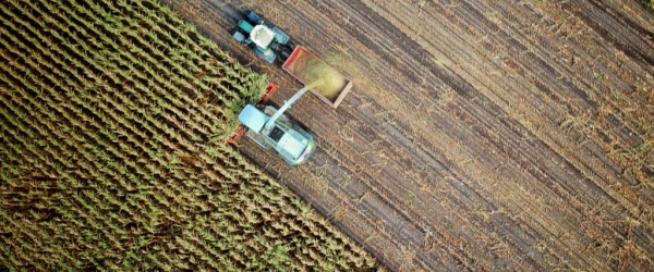 L’agriculture durable : est-ce possible ?